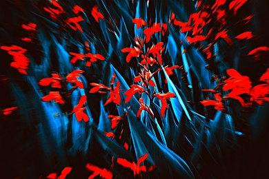 GTA6新泄露：700+可进入商店、五个章节剧情等细节